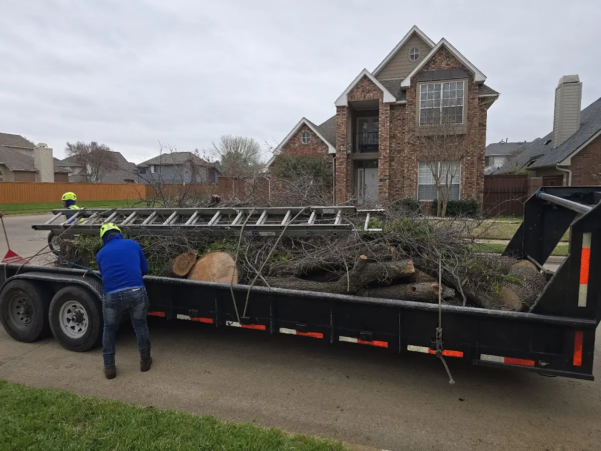 Expert Lot Clearing with proper safety equipment in Hoehne